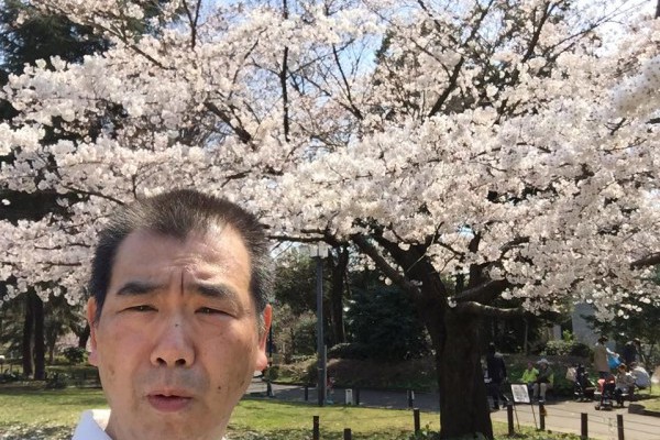 菅刈公園の桜